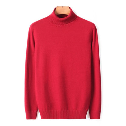 2020 New Autumn Winter Men's Warm Turtleneck Sweater High Quality Fashion Casual Comfortable Pullover Thick Sweater Male Brand